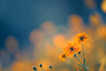 dell笔记本电脑电池显示正在充电但是电量一直不变