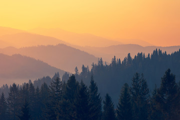 中国的电脑可以带到迪拜吗