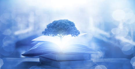 电脑放了很久后开机显示无信号？