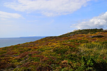 win10单孔笔记本使用二合一接口耳麦不能使用