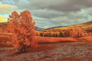 dell笔记本电脑电池显示正在充电但是电量一直不变