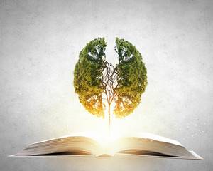 win10单孔笔记本使用二合一接口耳麦不能使用