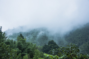 ibm  R50e笔记本电脑2005年的价格是多少？